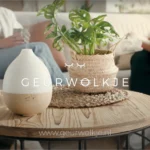 De Magie van Aromatherapie Thuis: Waarom Geurwolkje de Beste Keuze Is