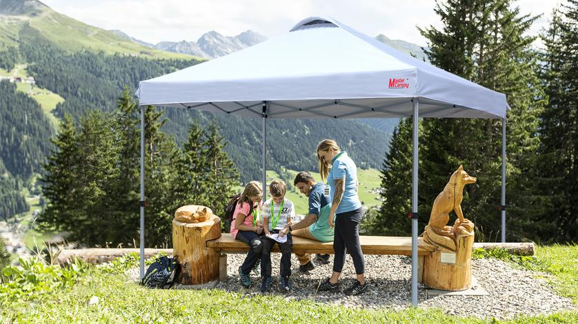 MasterCanopy: Durable Outdoor Canopies and Shelter Solutions for Modern Outdoor Living