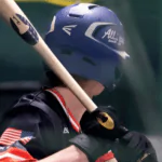  Chandler Bats: The Gold Standard of Wooden Baseball Bats